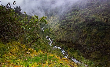 Chiquisca – Choquequirao (Desayuno, Almuerzo, Te de la Tarde y Cena)
