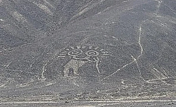 Día 2: Paracas – Viaje en Van a Nasca – Sobrevuelo Líneas de Nasca desde Aeródromo de Nasca – Visita Oasis de Huacachina – Retorno a Lima (Desayuno y Almuerzo)