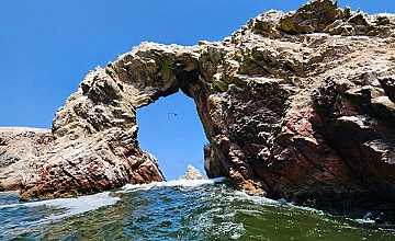 Paseo en lancha a Islas Ballestas, Paracas: avistamiento de fauna marina en Peru