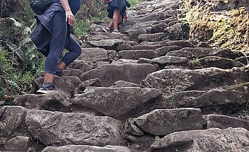 Día 6: Ollantaytambo – Km 104 – Chachabamba – Wiñayhuayna – Puerta del Sol o Intipunku – Machupicchu – Aguas calientes (Box lunch)