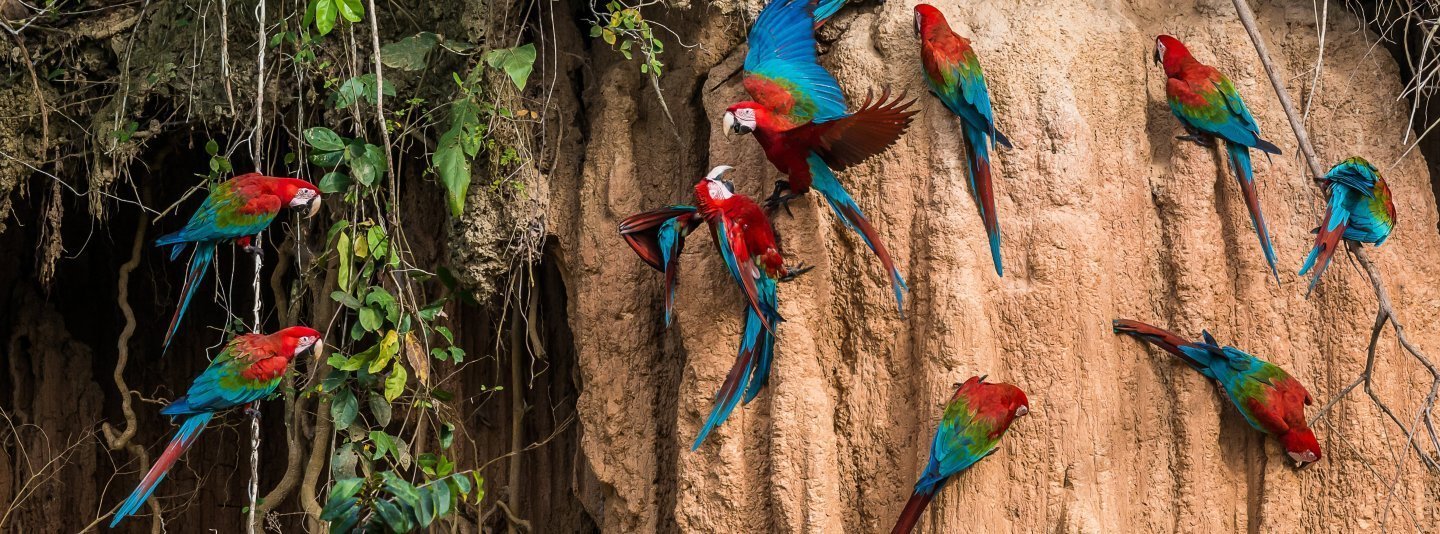 Tour Amazonía peruana Iquitos Puerto Maldonado Manu desde Uruguay 2026