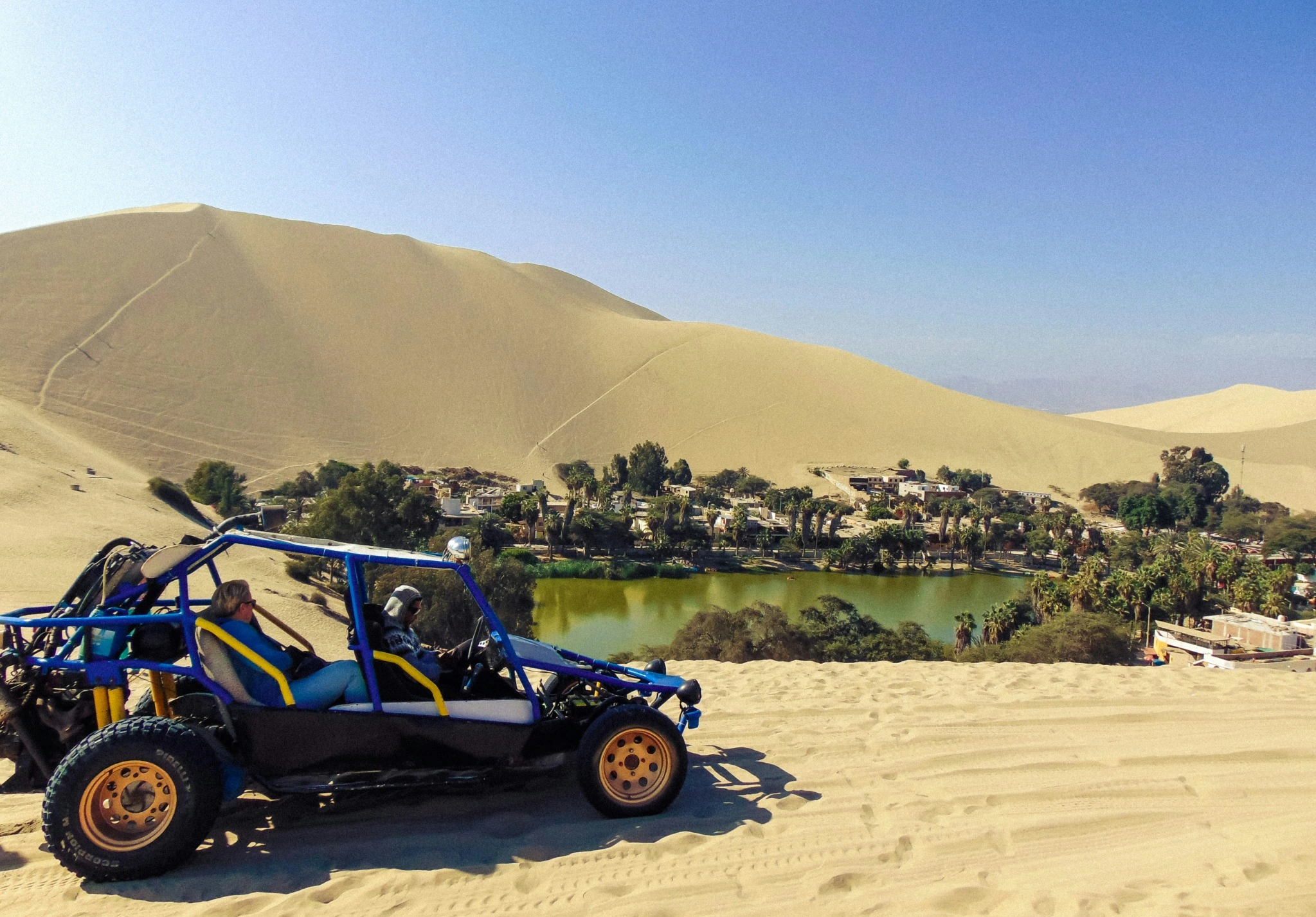 Tour Full Day Paracas, Viñedo Tacama y Oasis de Huacachina